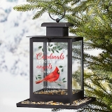 cardinals appear when angels are near bird feeder